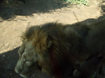 CIMG9694_s.jpg